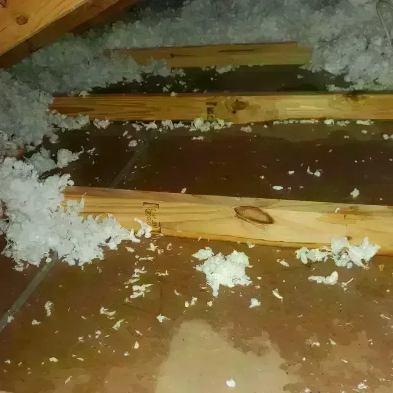 Attic Water Damage in North Peoria, IL