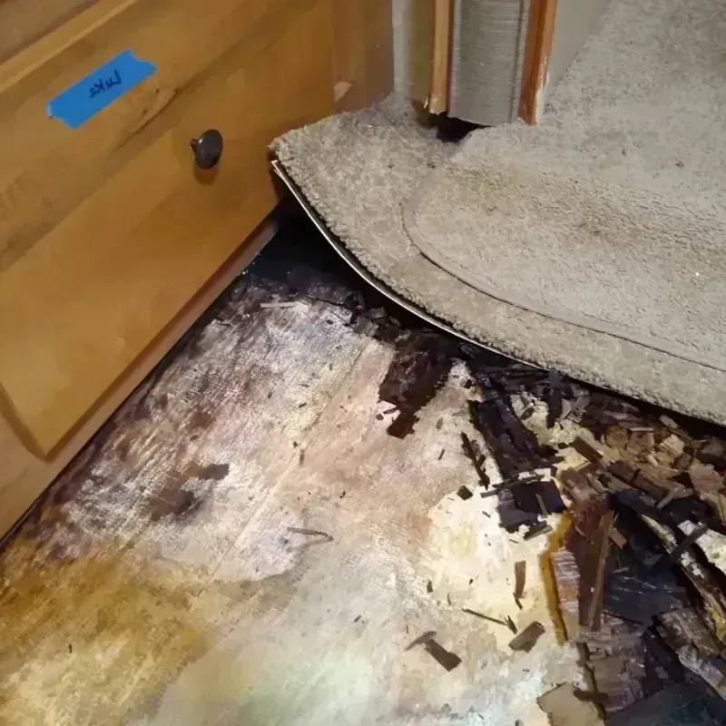 Wood Floor Water Damage in North Peoria, IL